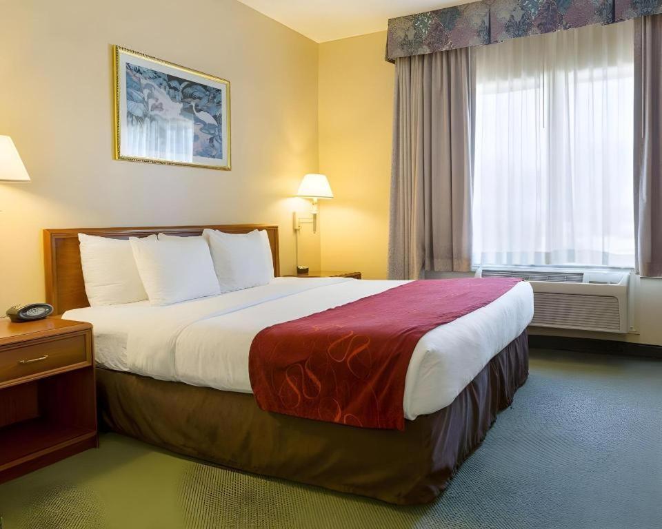 คอมฟอร์ต สวีท Hotel เลอพอร์ต ภายนอก รูปภาพ