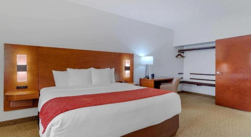 คอมฟอร์ต สวีท Hotel เลอพอร์ต ภายนอก รูปภาพ